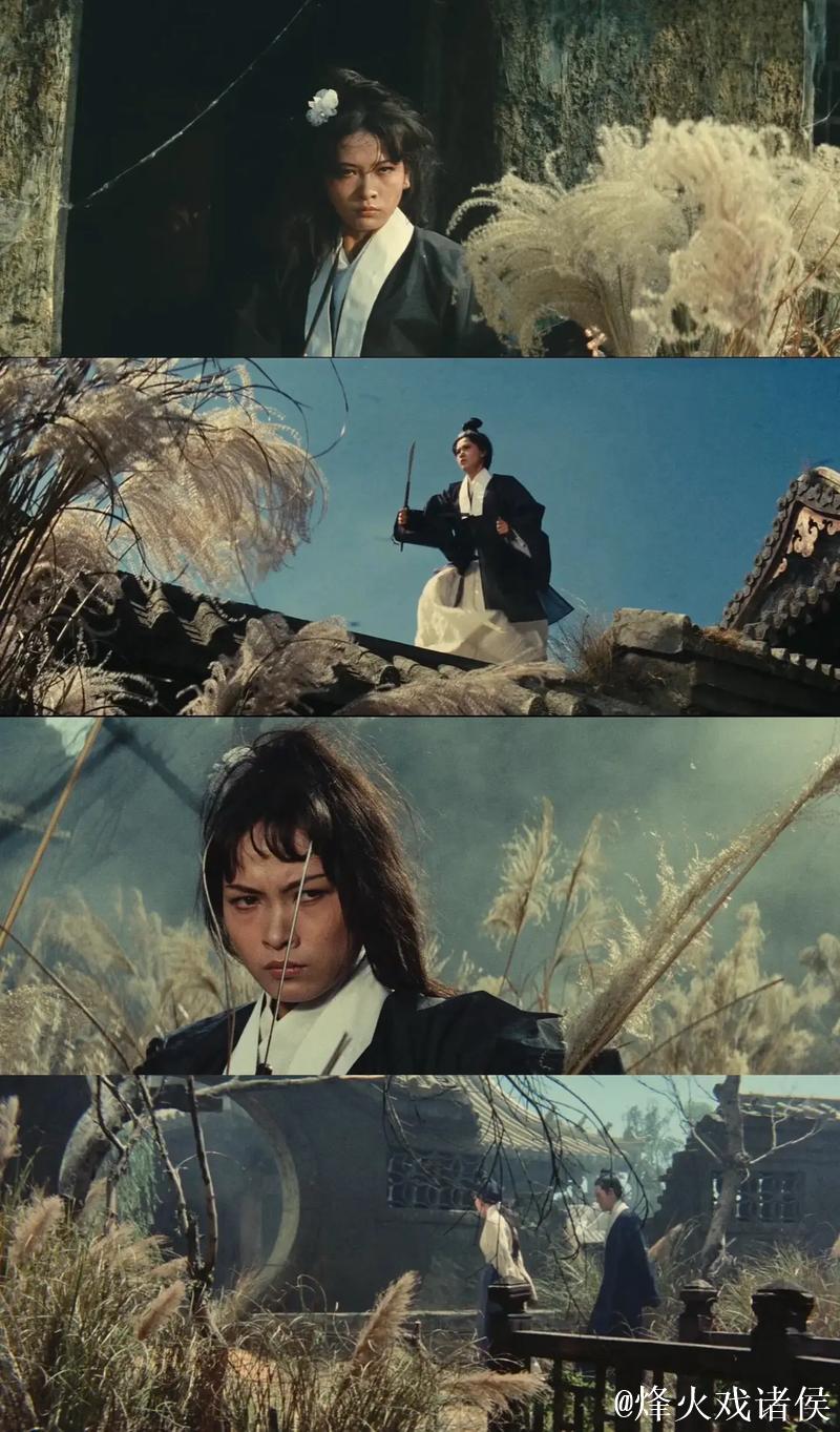 金湖重生记 金湖重生记